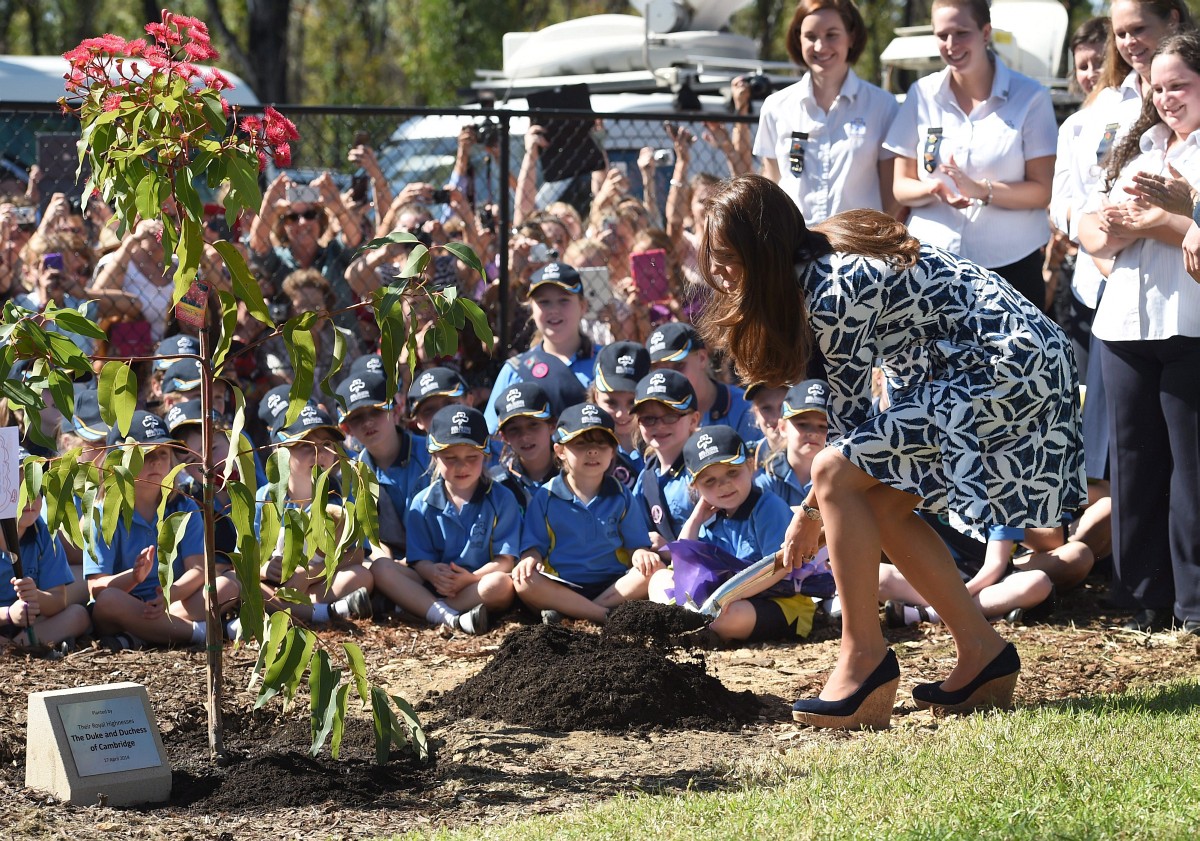 Fotó: Ásót ragadott Kate Middleton