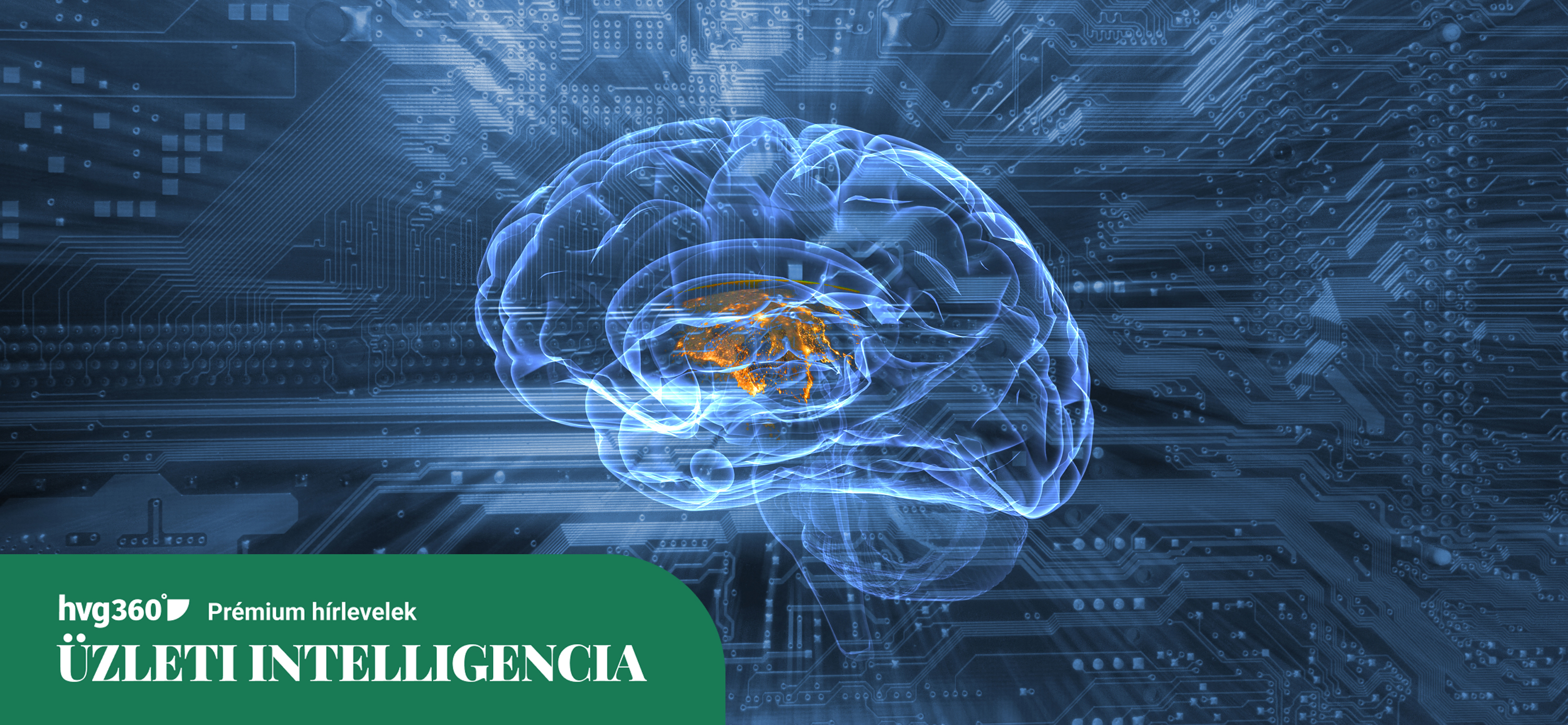 Üzleti intelligencia
