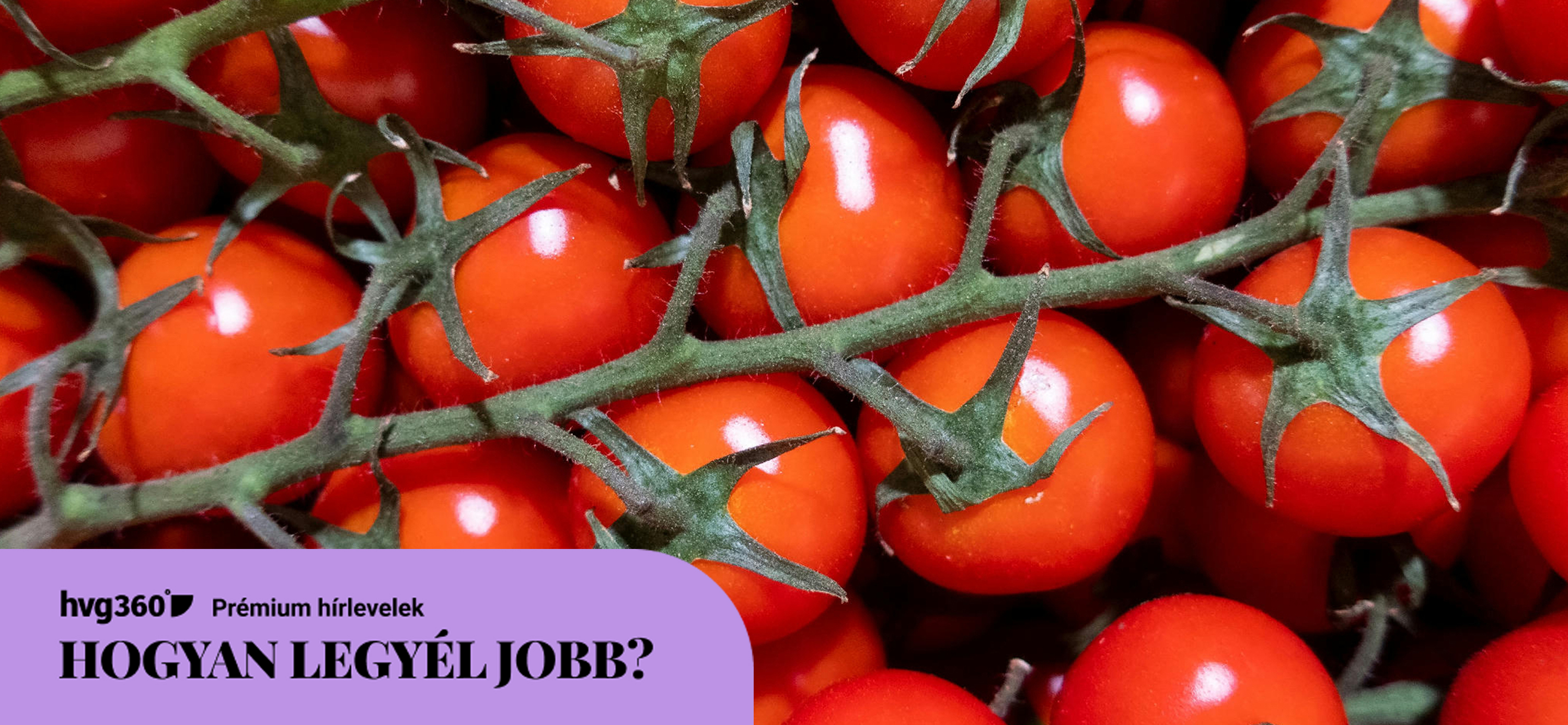 #1 Összpontosíts a paradicsomokra! – Tippek lustaság ellen