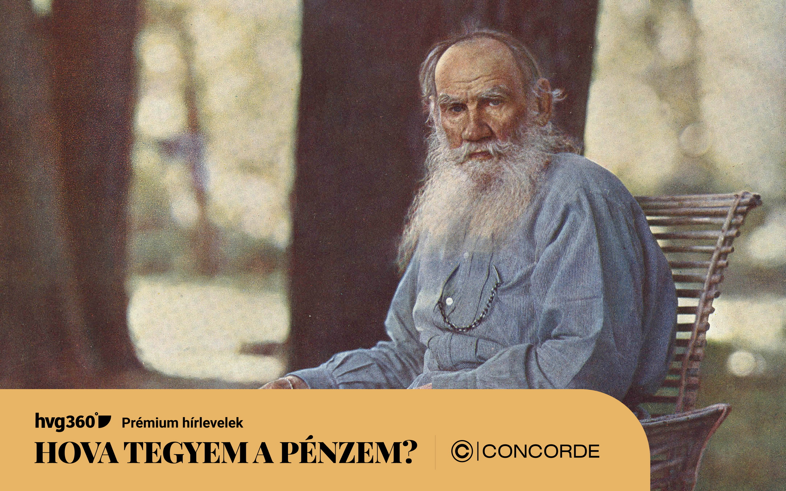 Befektetés háborúban és békében