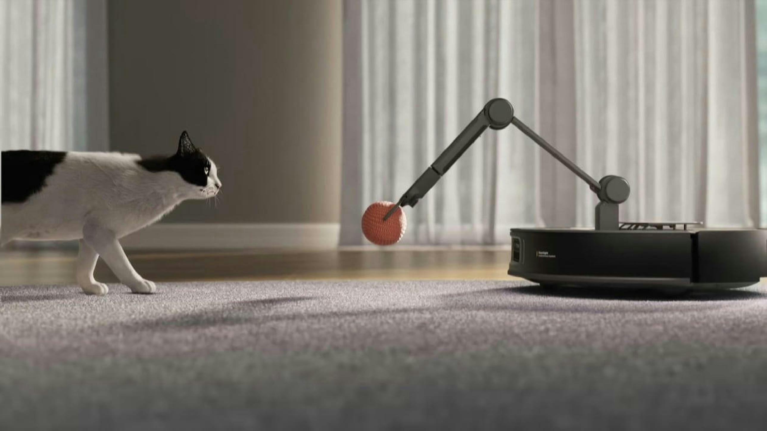 Ideje 90%-ában csak áll otthon a robotporszívó, pedig ennél sokkal hasznosabb is lehet