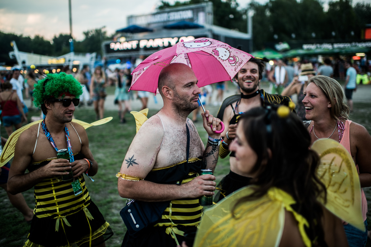 Sziget: Szembejött velünk egy spicces méh – Nagyítás-fotógaléria