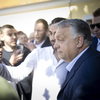 Novák Zoltán: Az Orbán Viktor-féle ideológiai vegyes felvágottal veheti fel a versenyt Magyar Péter