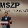 Egykori párttársai szerint Gyurcsány Ferencnek már korábban vissza kellett volna vonulnia