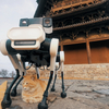 Hatlábú robotkutya védi Kínában az 1056-ban épült pagodát – videó