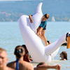 Vészesen felgyorsult a Balaton vizének melegedése