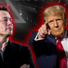 Egy Tiborcz Istvánnyi vagyont költött Elon Musk Donald Trump megválasztására