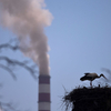 A koszovói vállalkozók lezárták a Pristinába vezető utakat, mert nem kapnak többé államilag támogatott energiát