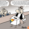 Marabu Féknyúz: Erdélyi szavazatok