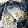Húsz kiló drogot adtak fel csomagban, de a NAV lecsapott