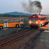 869 buszt vesz a MÁV