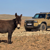 Ide az összes kátyúval! Afrikában kínoztuk meg a vadonatúj Toyota Land Cruisert