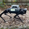 A vakvezető kutyákat is kiválthatja a szingapúri robotkutya