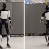 Így táncol a Tesla humanoid robotja, Optimus – videó