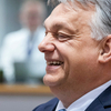 Populizmus-szakértő: Magyarország mutatja meg, merre vinné az AfD Németországot