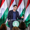 Az Ungár-család tartotta el az LMP-t