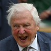 Tengerre száll David Attenborough a 99. születésnapján, hogy átadja eddigi legfontosabb üzenetét
