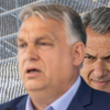 Papp Réka Kinga: Mi történne, ha Orbán átadná a stafétát, és elvonulna a zebráit vakargatni?