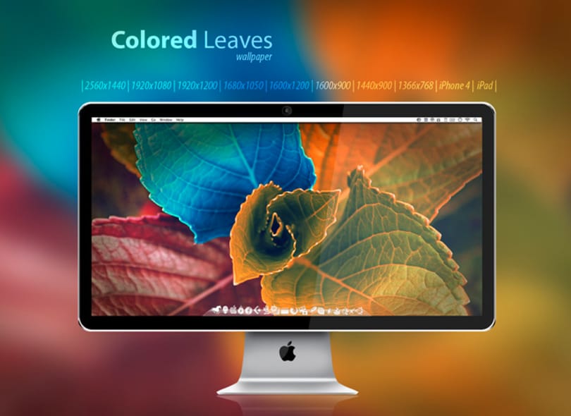 Mai háttérkép: Colored Leaves - levelek, nem mindennapi változatban