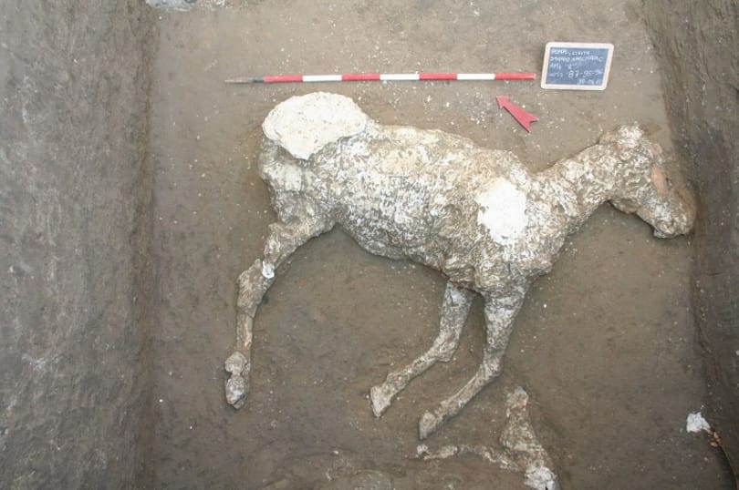 Majdnem kétezer éves lovat találtak Pompejiben