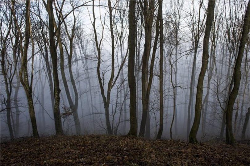 Ködös péntek után esős, szeles hétvége jön