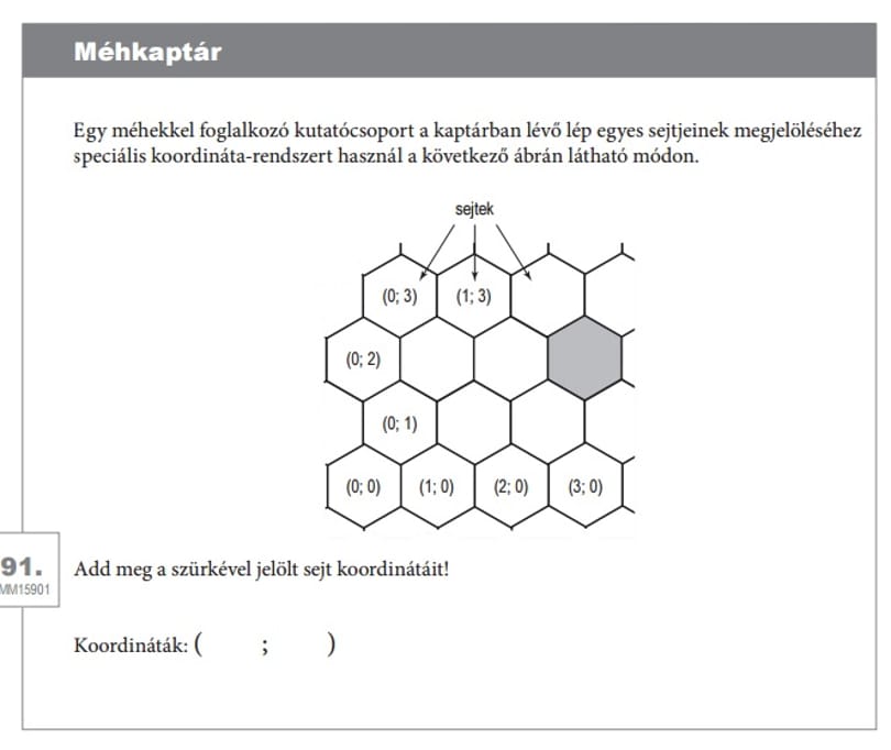Ilyen feladatot kaptak a ma kompetenciatesztet írók