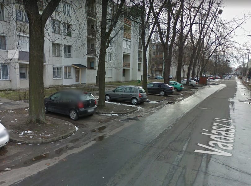 Tizenkét parkolóhely miatt vágtak ki több fát a tatabányai lakótelepen