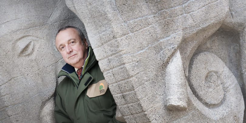 Lemondott Persányi Miklós, a fővárosi állatkert igazgatója