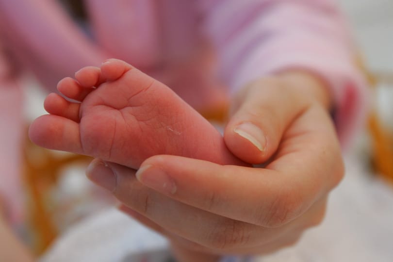 Hétfő reggel 8 és péntek délután 4 között lehet szülni a mosonmagyaróvári kórházban