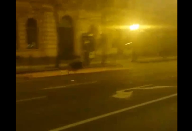 Videó: A Bazilikánál vágtatnak a szökevény vaddisznók