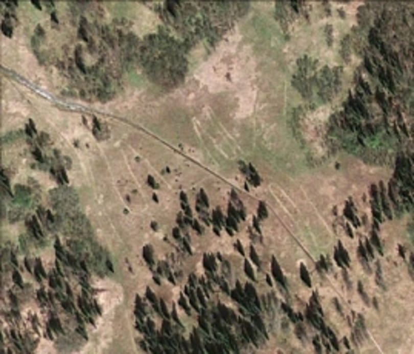Óriási rénszarvasrajzot találtak a Google Earth-szel egy uráli fennsíkon