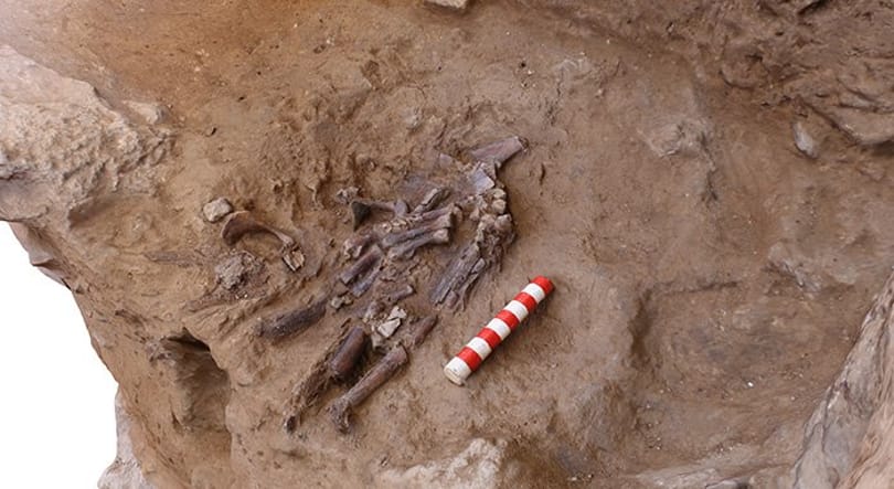 Különös dologra bukkantak 70 000 éves neandervölgyi emberek sírja mellett