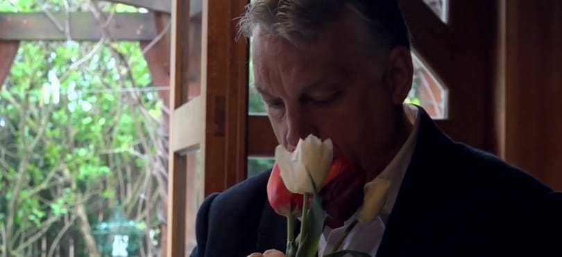 Orbán Viktor útra kelt egy csokor tulipánnal, de a távirata is célba ért
