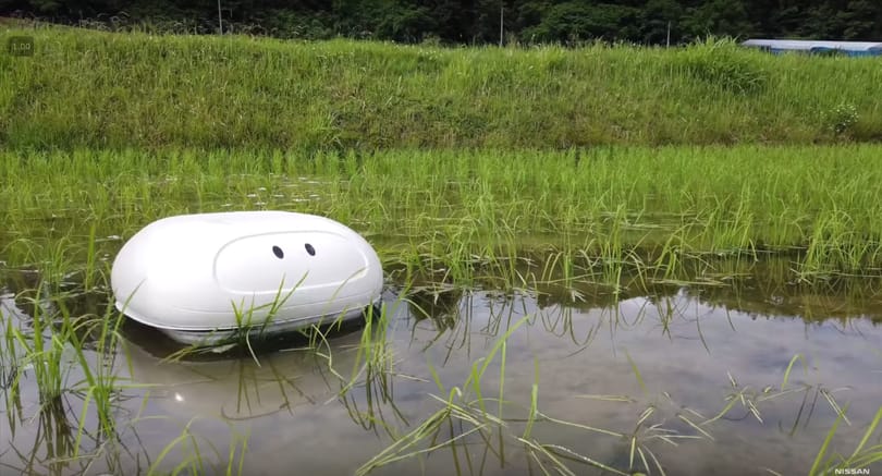 Kacsát játszik a japán robot, a rizsföldeken segíthet gyomlálni