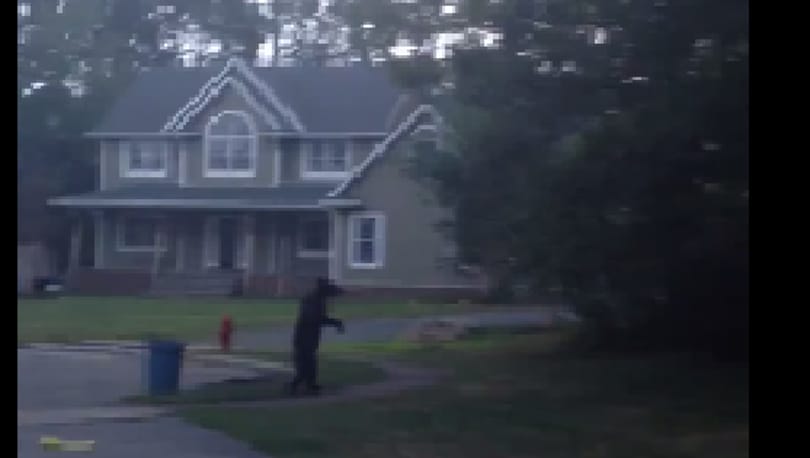 Videó: Emberként járt-kelt egy medve New Jersey kertvárosában