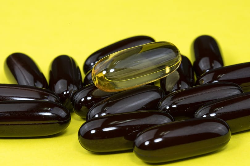 A Harvard szakértője szerint ezt a vitamint kell szedni, hogy az agyunk fiatal és egészséges maradjon