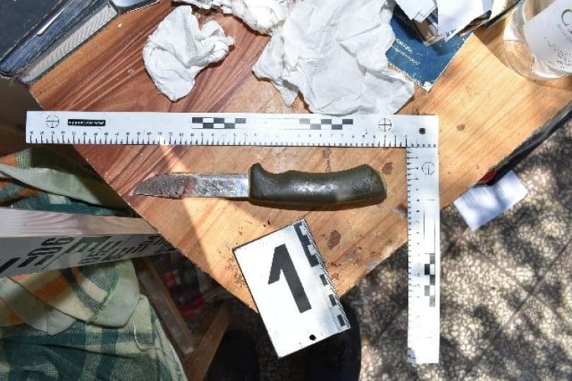Eltiltanák a kutyatartástól az állatkínzó nagyigmándi férfit