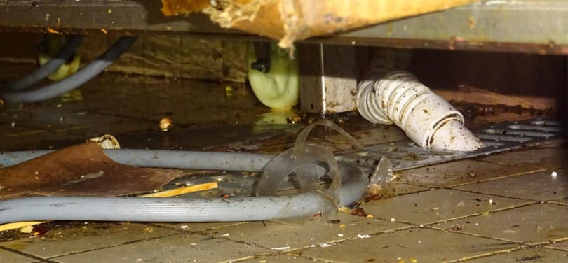 Undort keltő konyhát talált a Nébih egy pesti kínai étteremben