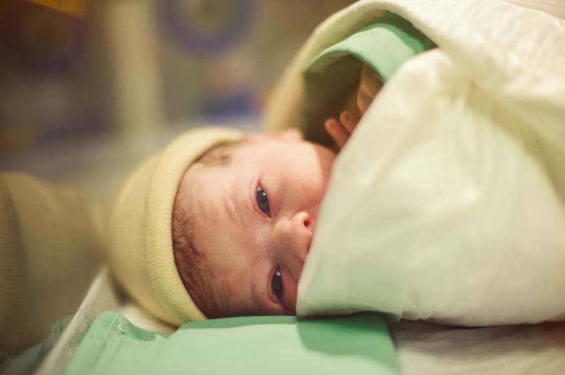 Így éljük át életünk legjelentősebb eseményét: a születésünket