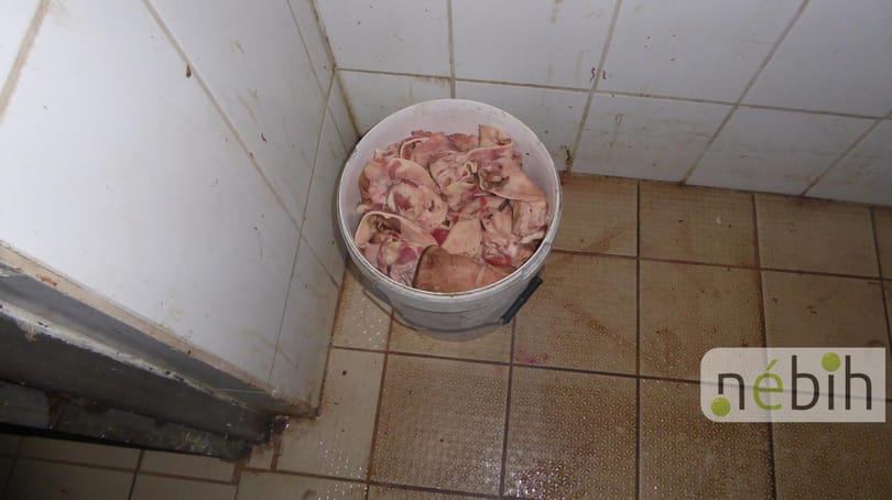 Döglött rovarok, élő egerek a Békés megyei vágóhídon