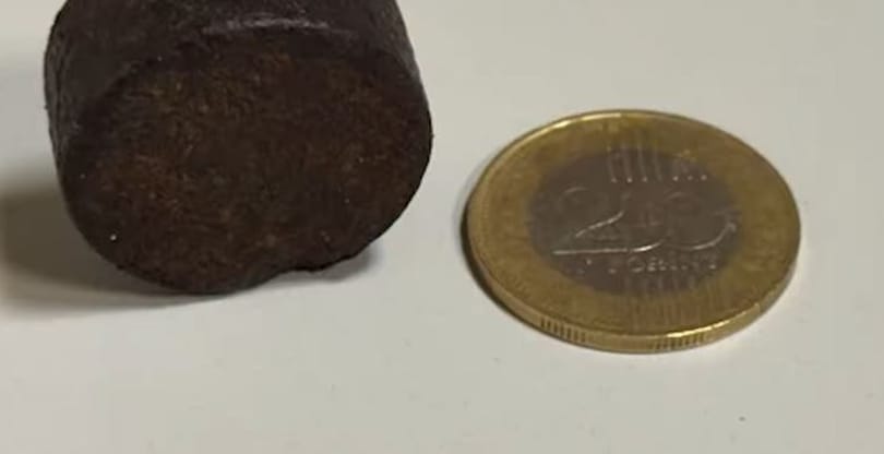 Klasszikus módszerrel buherálta meg a menetidő-számlálót egy bolgár kamionos, de lebukott – videó