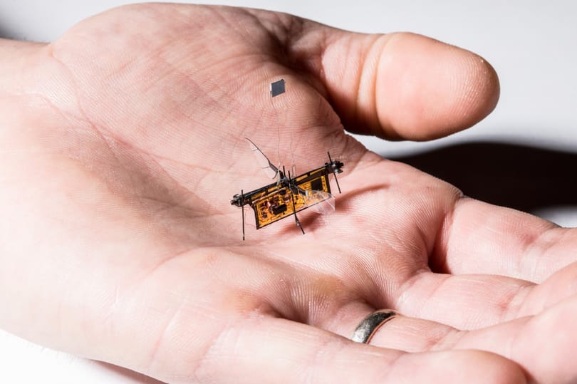 Megépítették a világ legkisebb drónját, rajta miniatűr napelemekkel