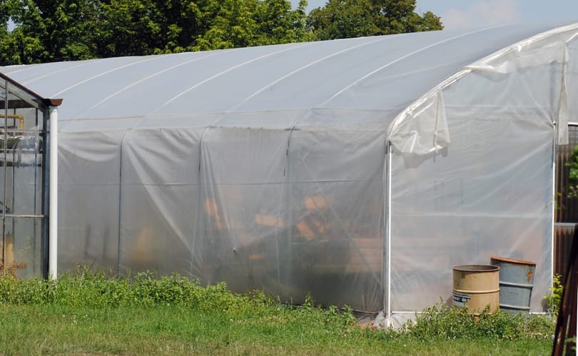 „Az ágyneműtartóban tartják a tankönyveket” – egy éve tették ki a fertődi kastélyból a diákokat