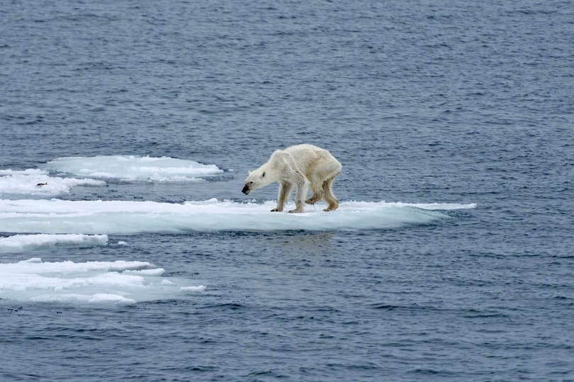 IPCC: Vészesen közeledünk a 3°C-os felmelegedés felé, de még időben vagyunk, hogy változtassunk