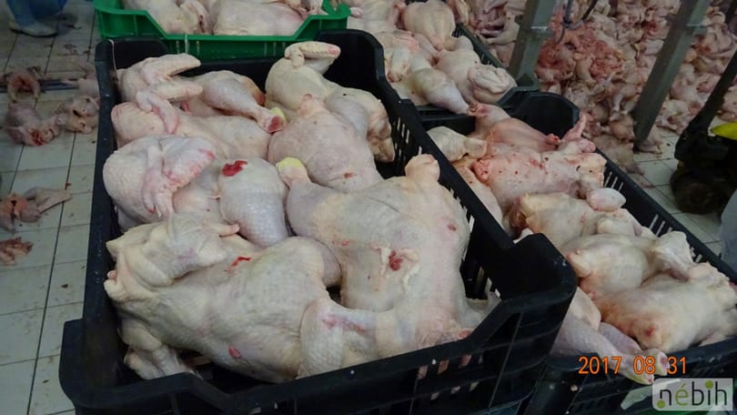 Magyarországról származó szalmonellás baromfihúst foglaltak le Litvániában