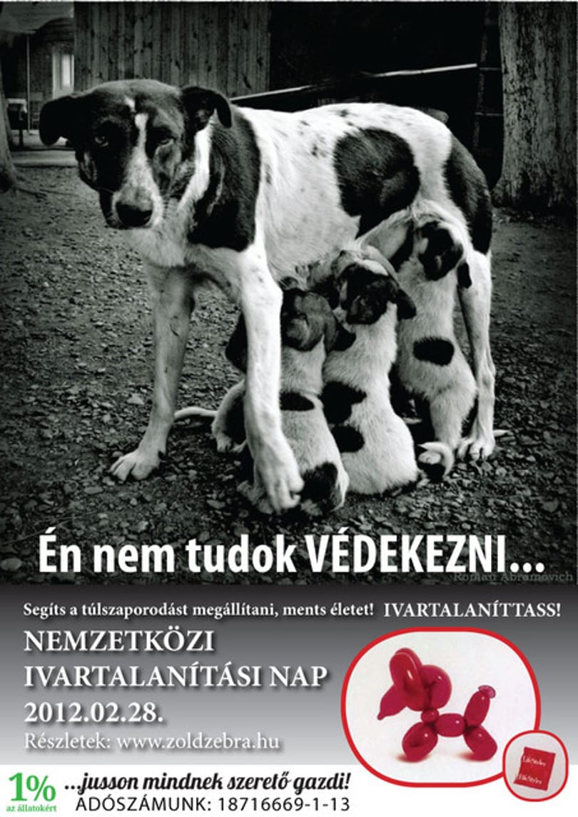 Ivartalanítási világnap február 28-án