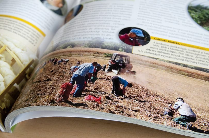 A kormány nem akarja, hogy bárki trükközzön a közfoglalkoztatással