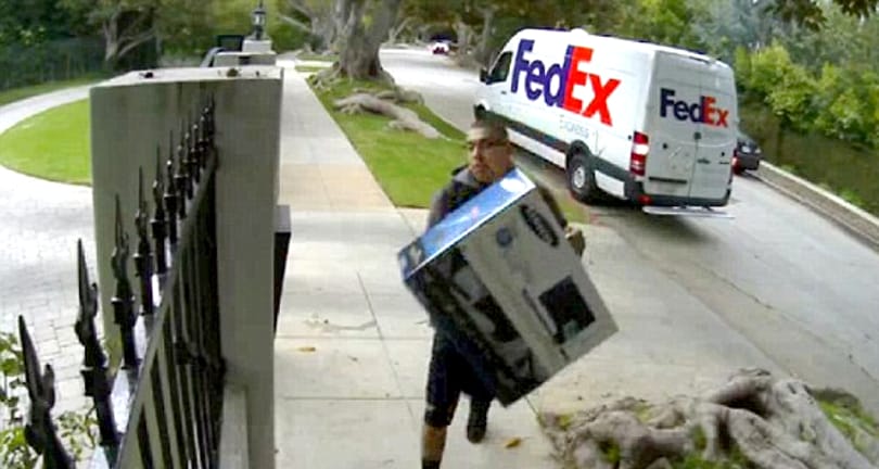 Agyonütött egy kutyát a kertbe dobott FedEx-csomag
