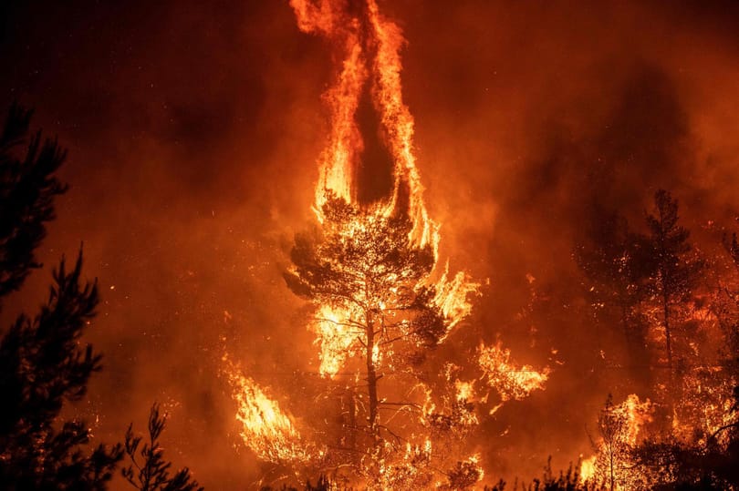 Rekordhőséget mértek Törökországban, 50 fok felett volt a hőmérséklet