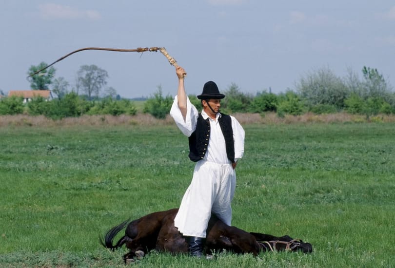 Eltűnik a víz a magyarországi folyókból